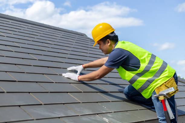 Best Solar Panel Roofing Installation  in Lebanon, VA
